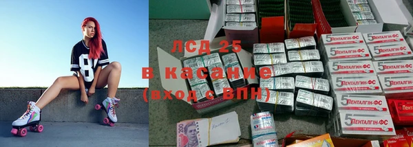 Альфа ПВП Каменка